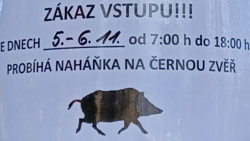 Jak jsem dneska nedala Šumavského horala