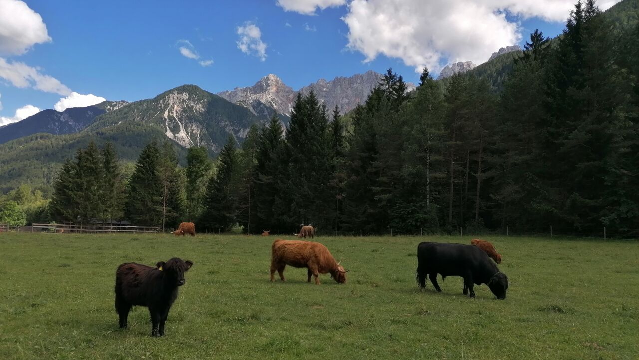 Deň, kedy sme si zamilovali Slovinsko