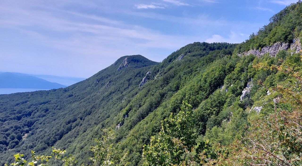 Dovolenka v Lovrane.