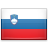 Slovenian flag