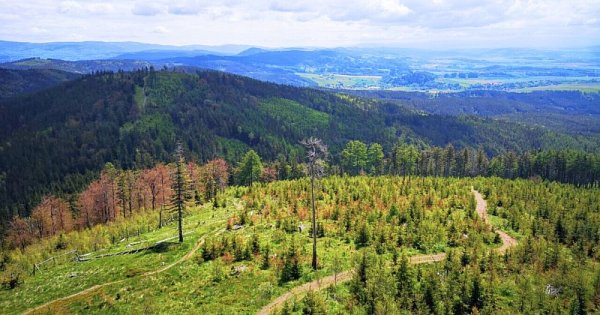 Range Trail - Broumovsko