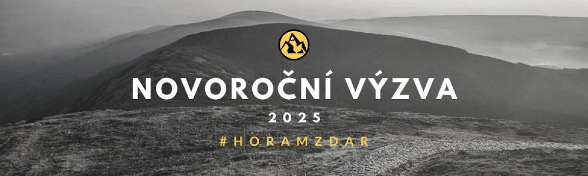 New Year's Challenge 2025