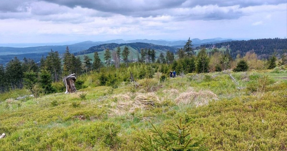 Ridge Trail - Sowie Mountains - Bardzkie Mountains (PL)