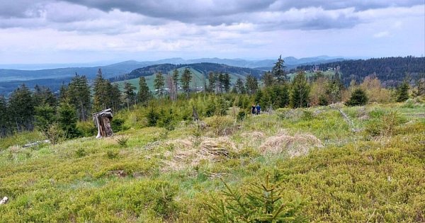 Ridge Trail - Sowie Mountains - Bardzkie Mountains (PL)