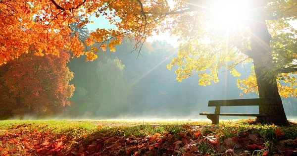 Autumn Orienteering