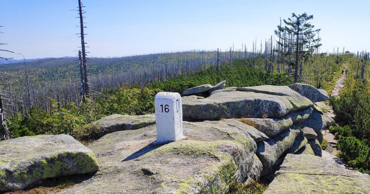 Šumava Mountaineer