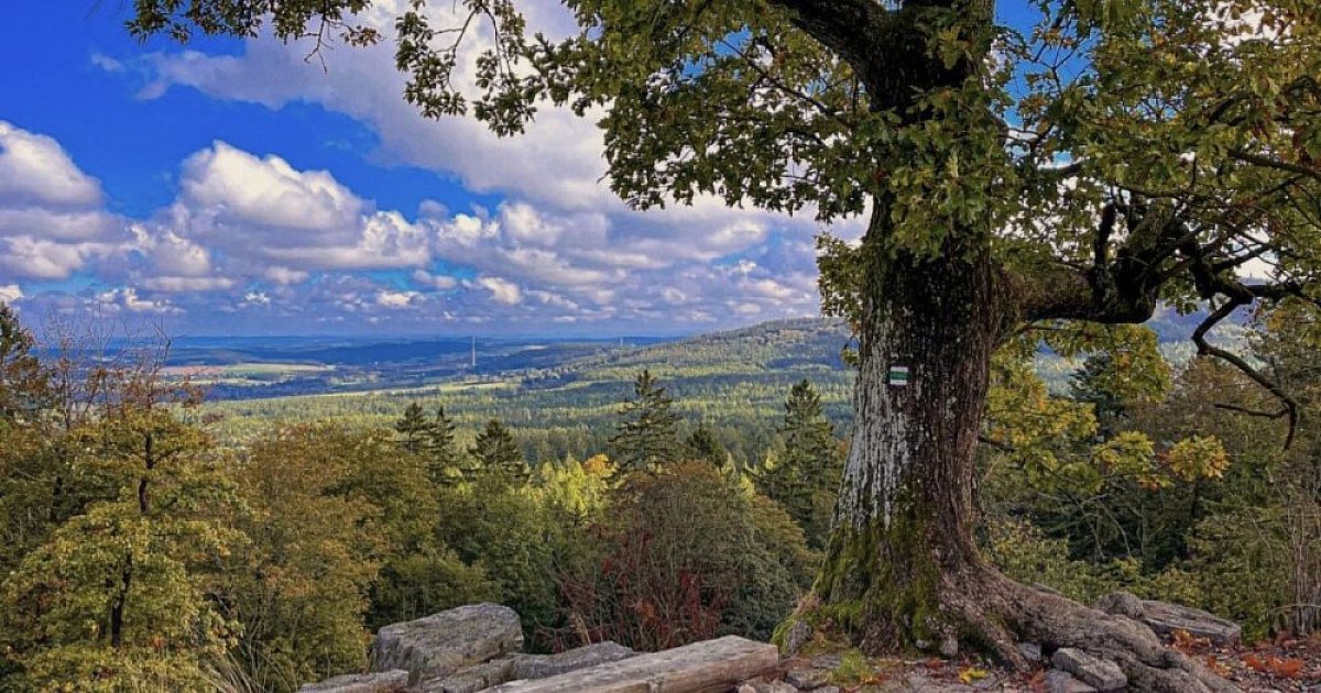 Brdy Ridge Hike