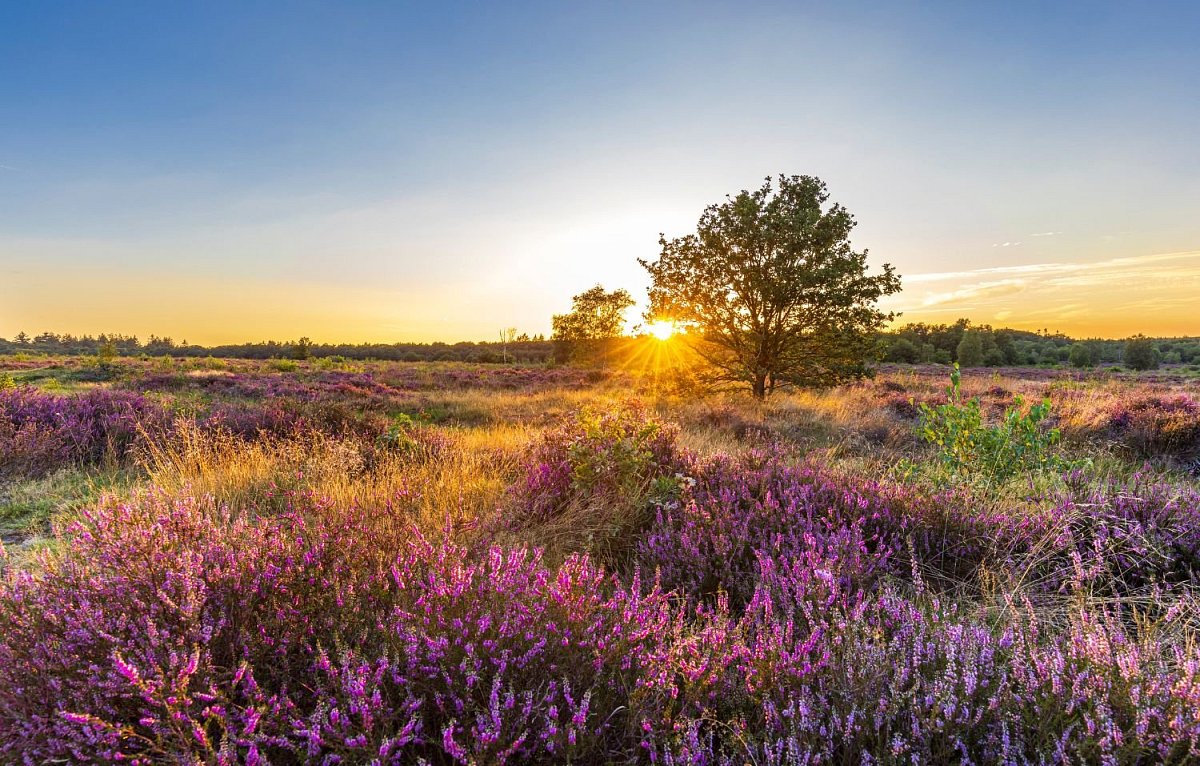 Netherlands