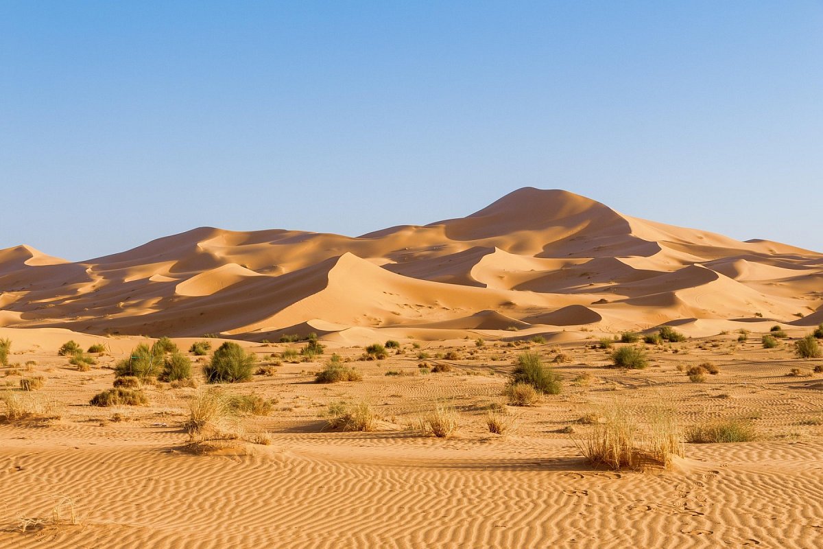 Western Sahara
