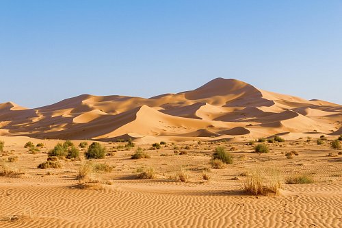 Western Sahara