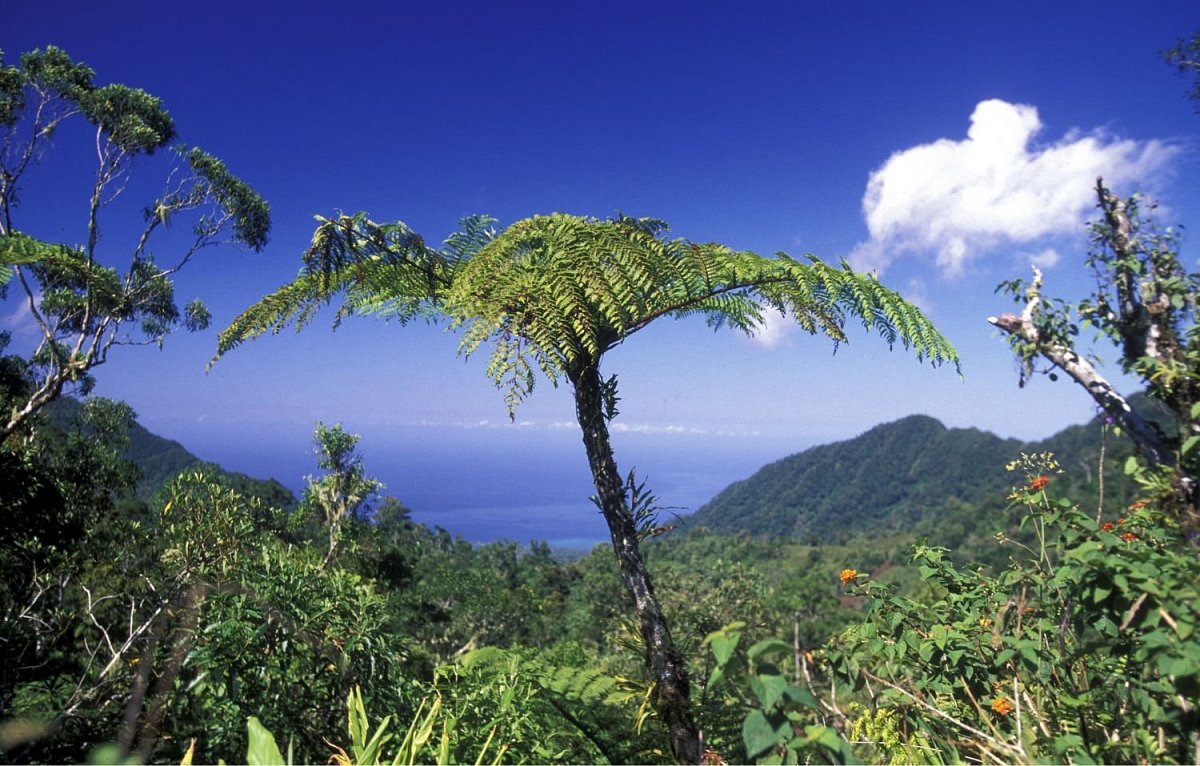 Comoros