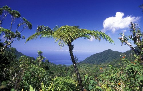 Comoros