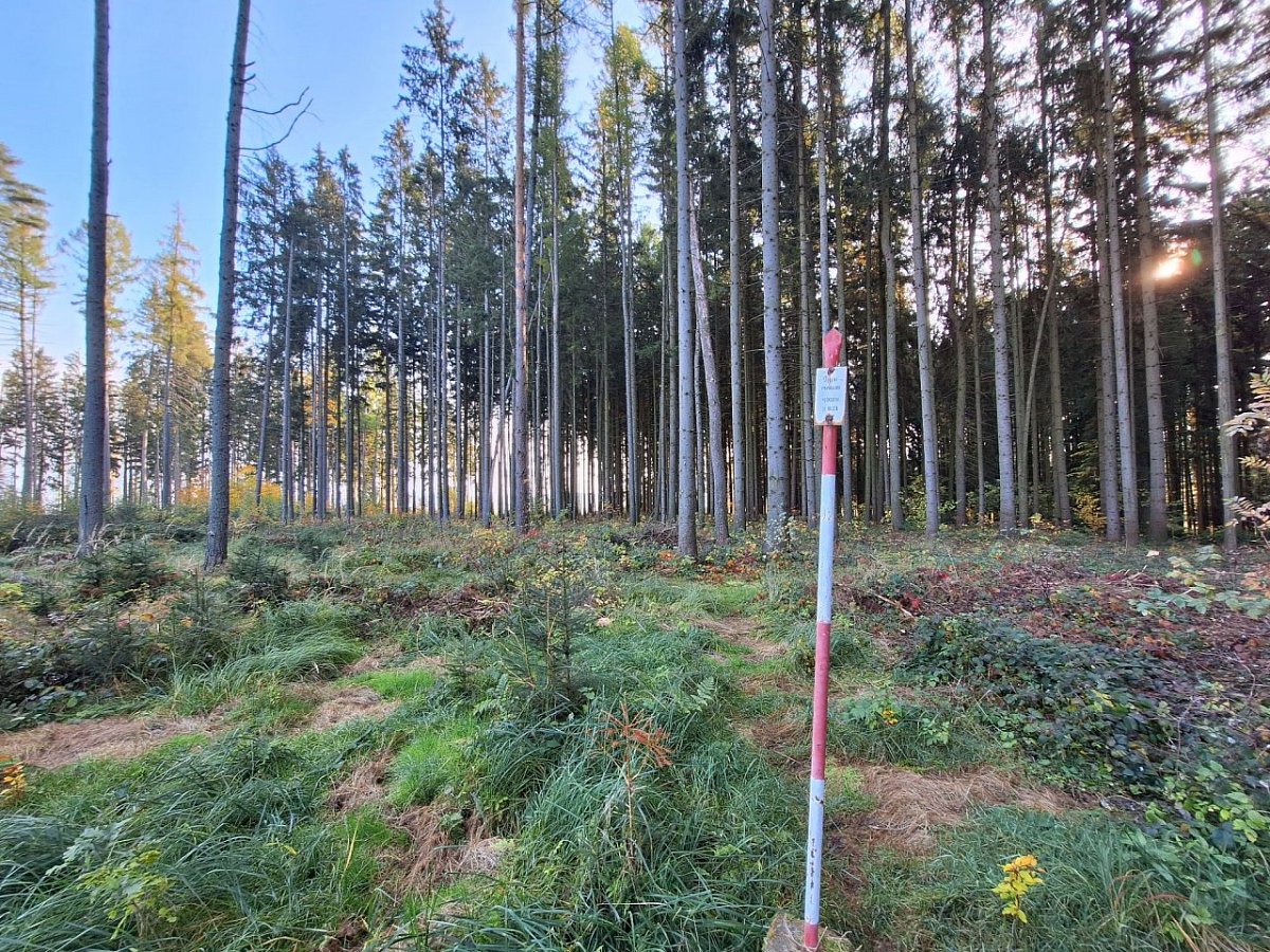 Hrubý kopec (507&nbsp;m)