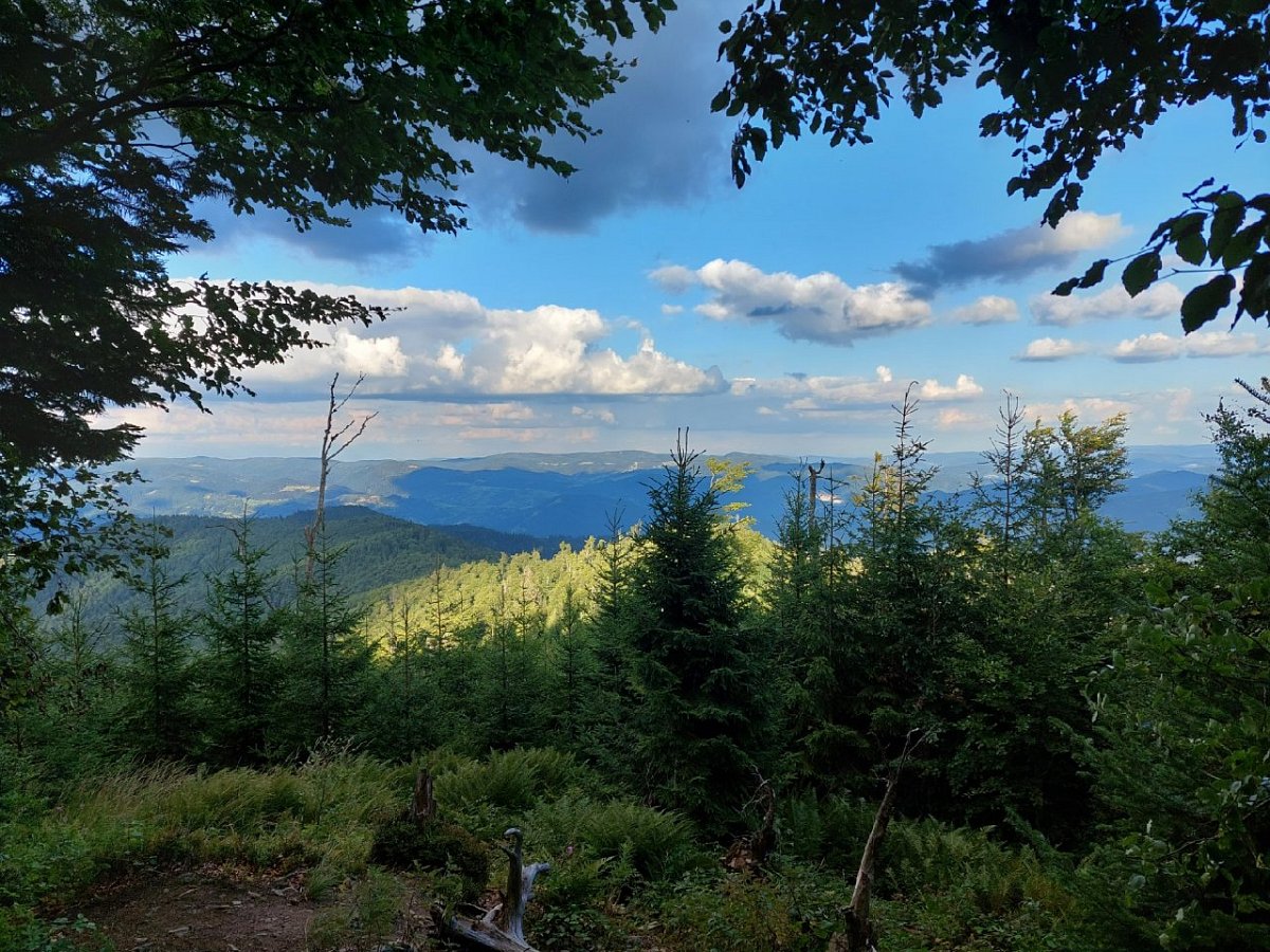 Wielki Rogacz (1182 m)