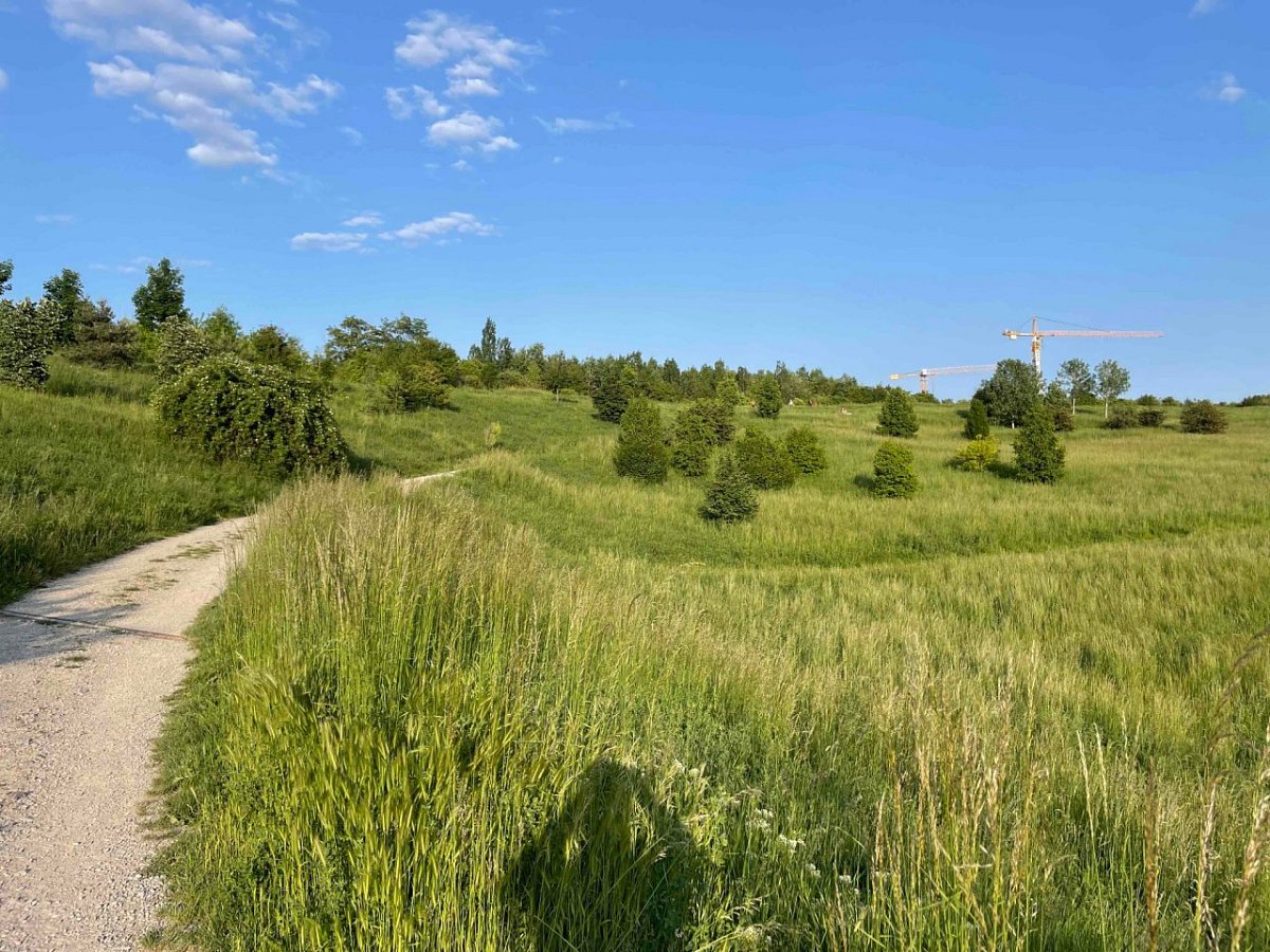 Planýrka (254 m)