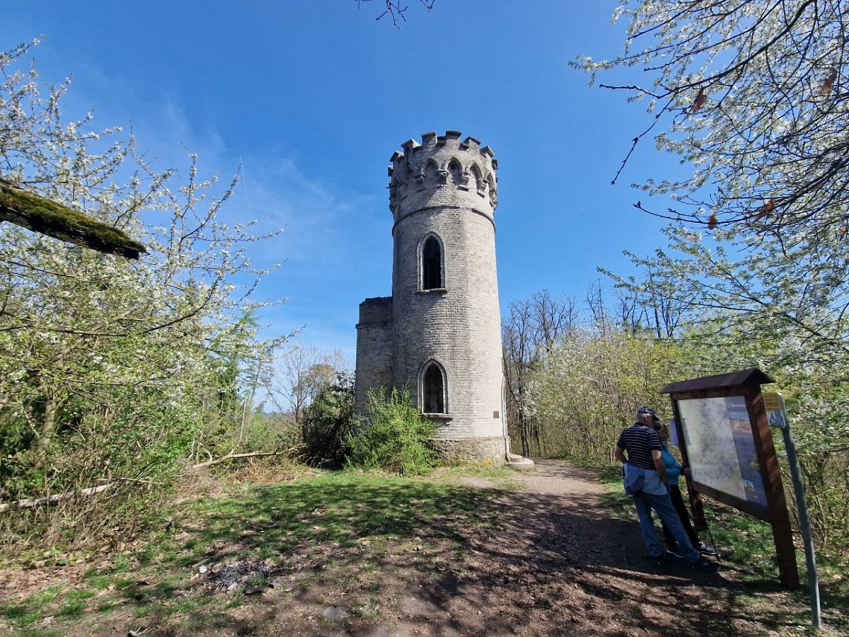 Děd (493 m)
