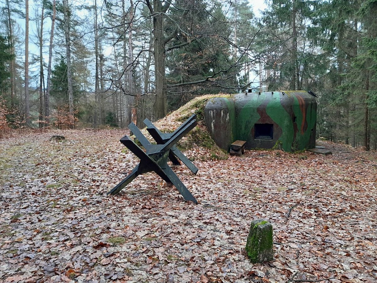 Watzelův kopec (259 m)