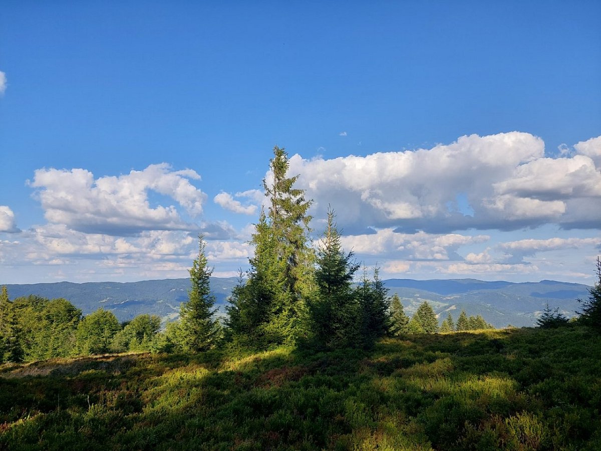 Trześniowy Groń (1001 m)