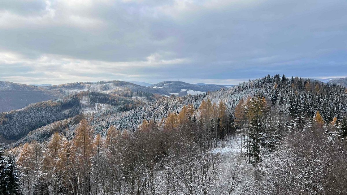 Přední Bukový kopec (624 m)