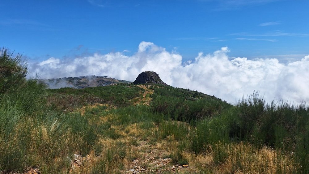 Pico do Escalvado