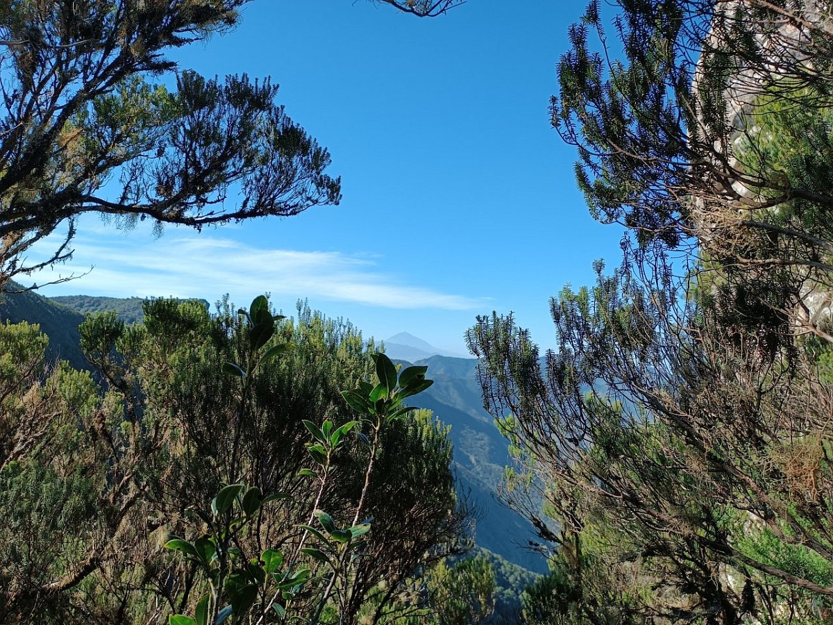 Roque Anambro (815 m)