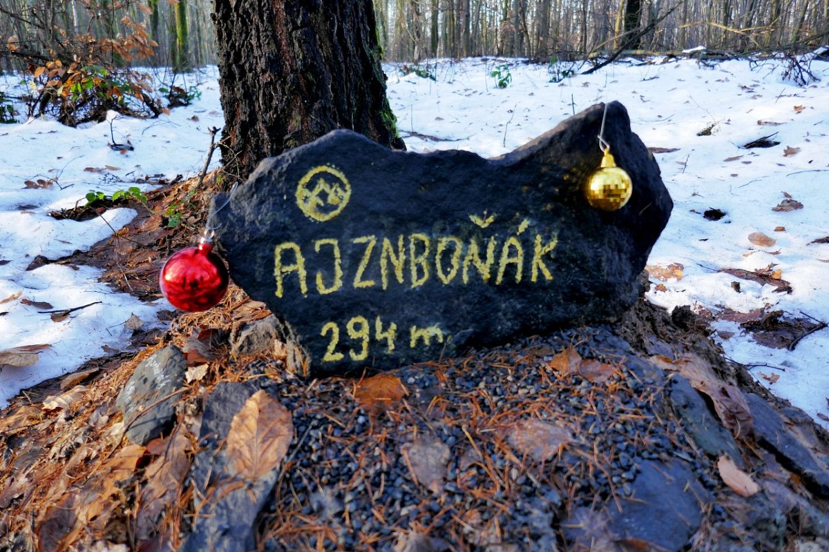 Ajznboňák (294 m)