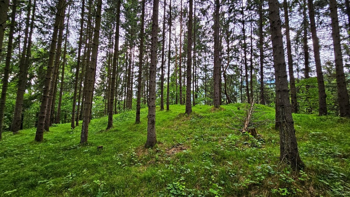 Hrádok (555 m)
