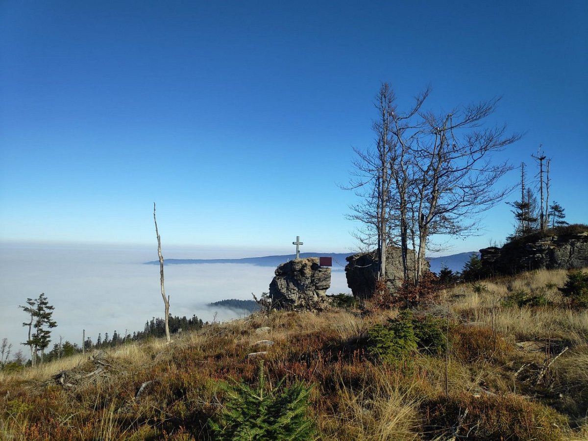 Ödriegel (1154 m)