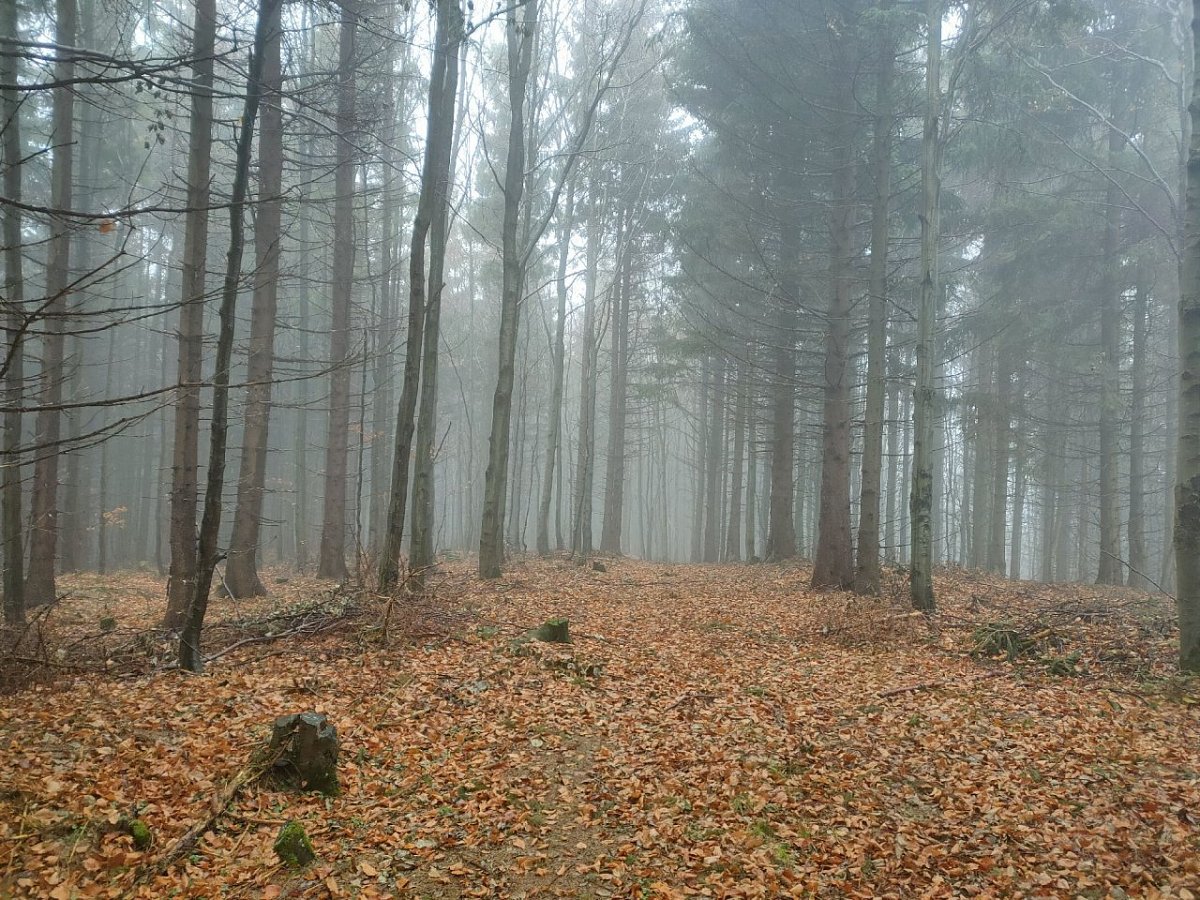 Klínec (900 m)