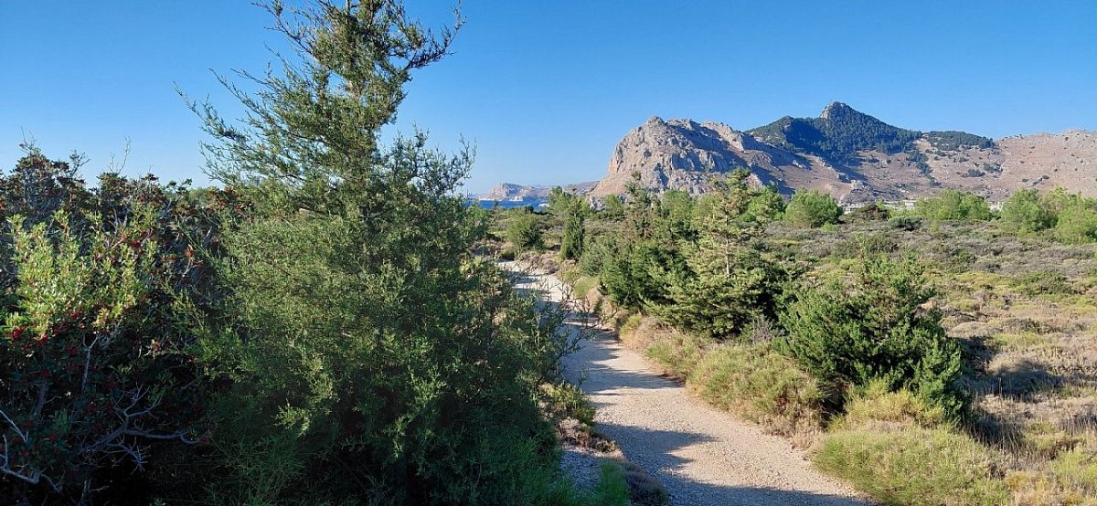 Θεοτoκος (26&nbsp;m)