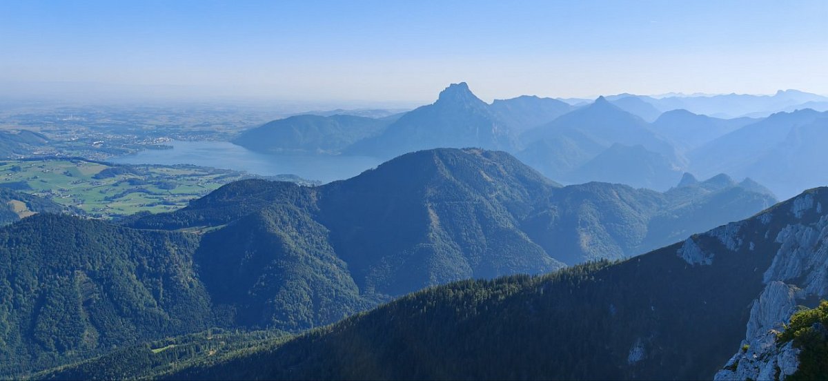 Alberfeldkogel (1707&nbsp;m)