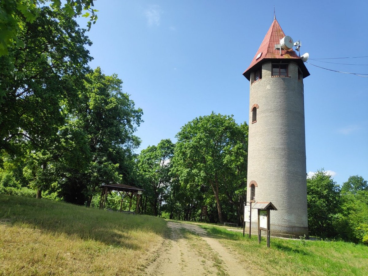 Bohušův vrch (578 m)