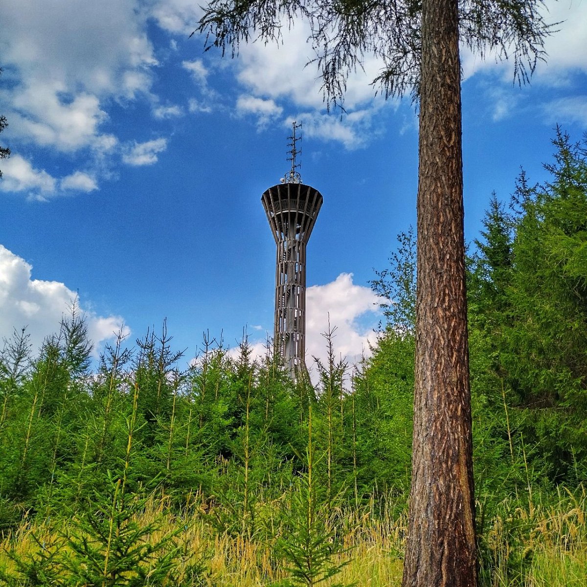 Březák (533 m)