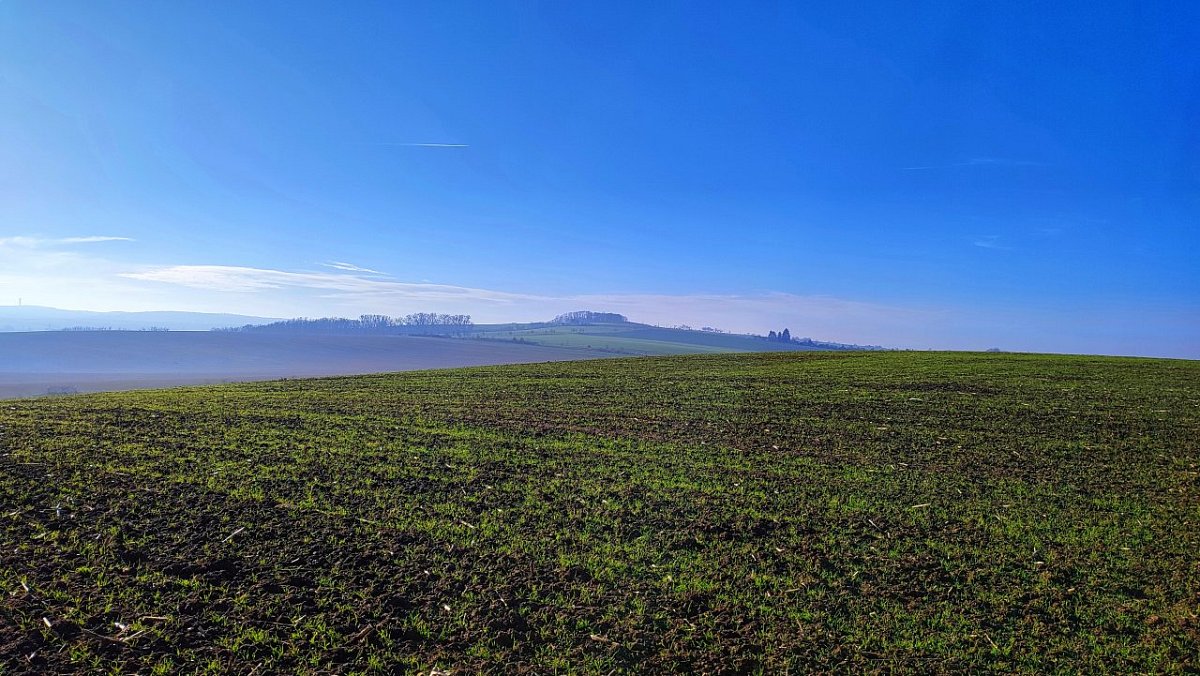 Tmeň (260 m)
