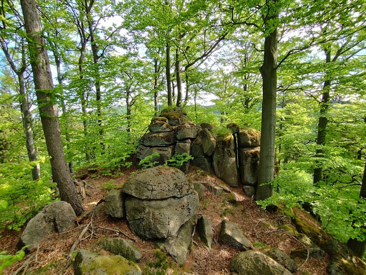 Javorový vrch (723 m)