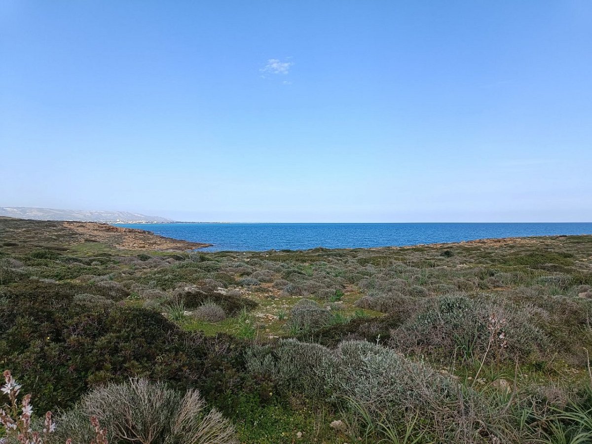 Cozzo Balsamo (14 m)