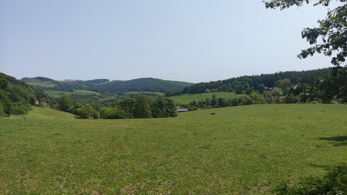 Novákův vrch (459 m)