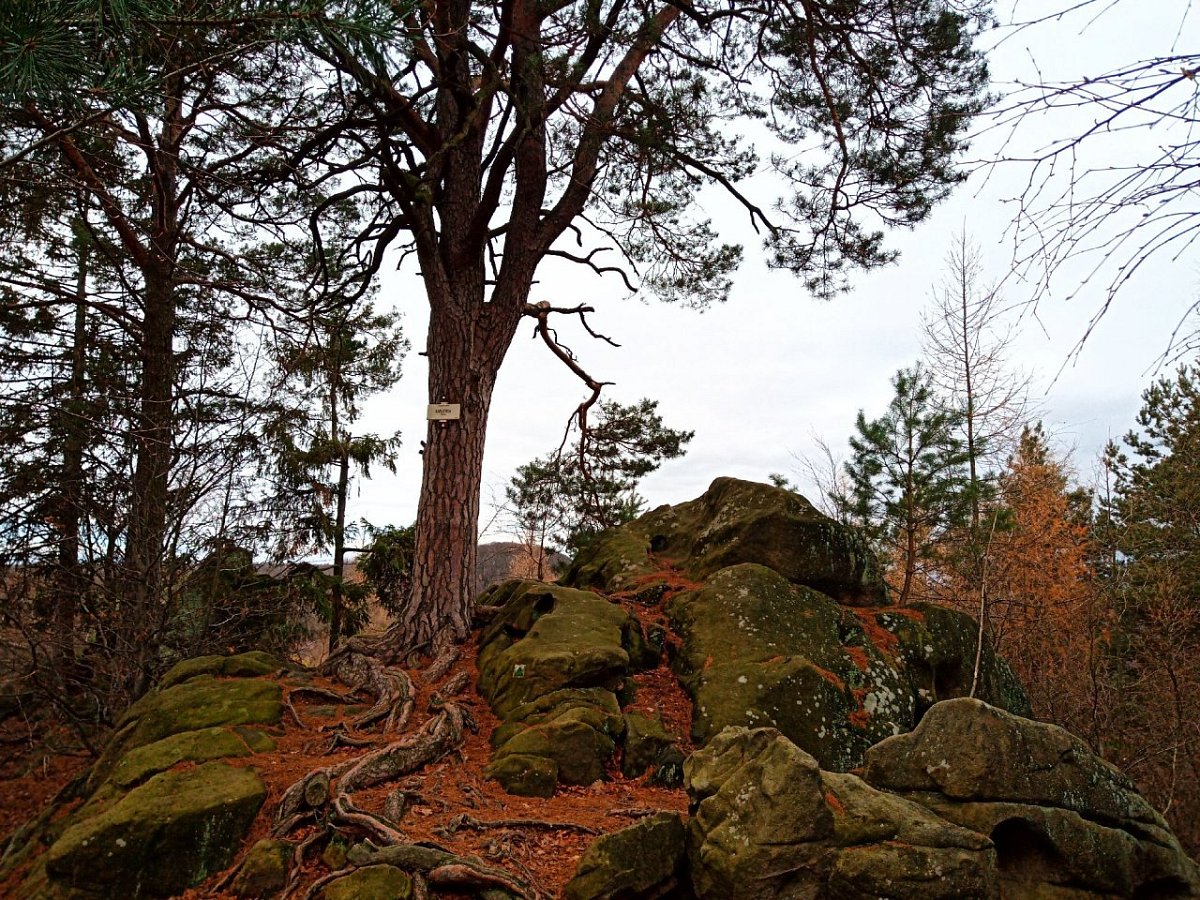 Karlova skála (386 m)