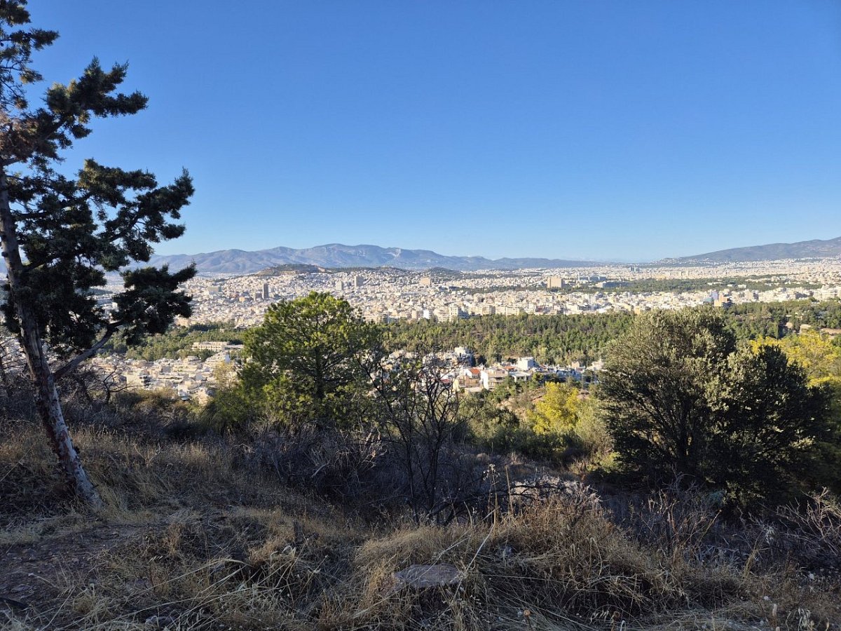 Αλεποβούνι (299&nbsp;m)