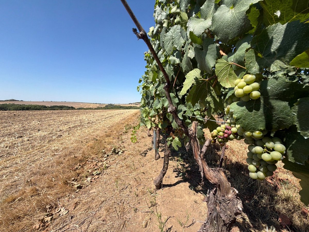 Stará hora (351&nbsp;m)