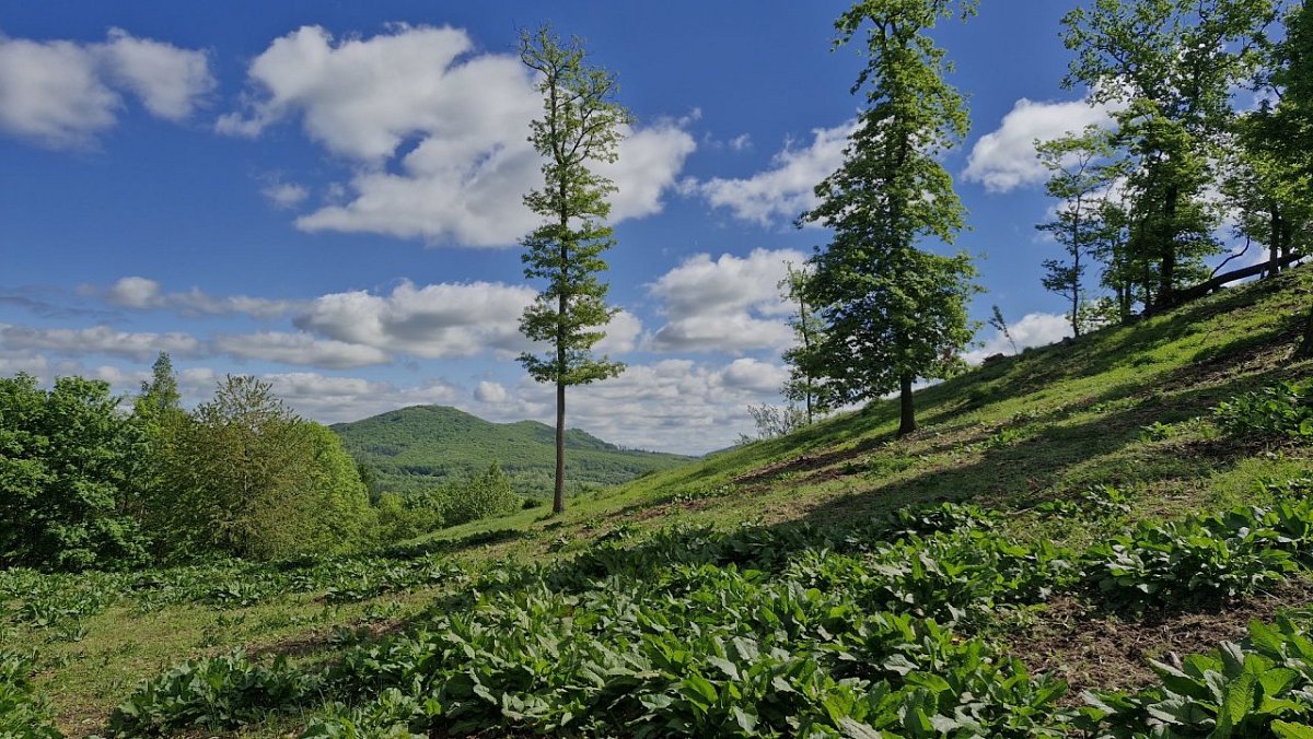 Malý Boreček (507 m)