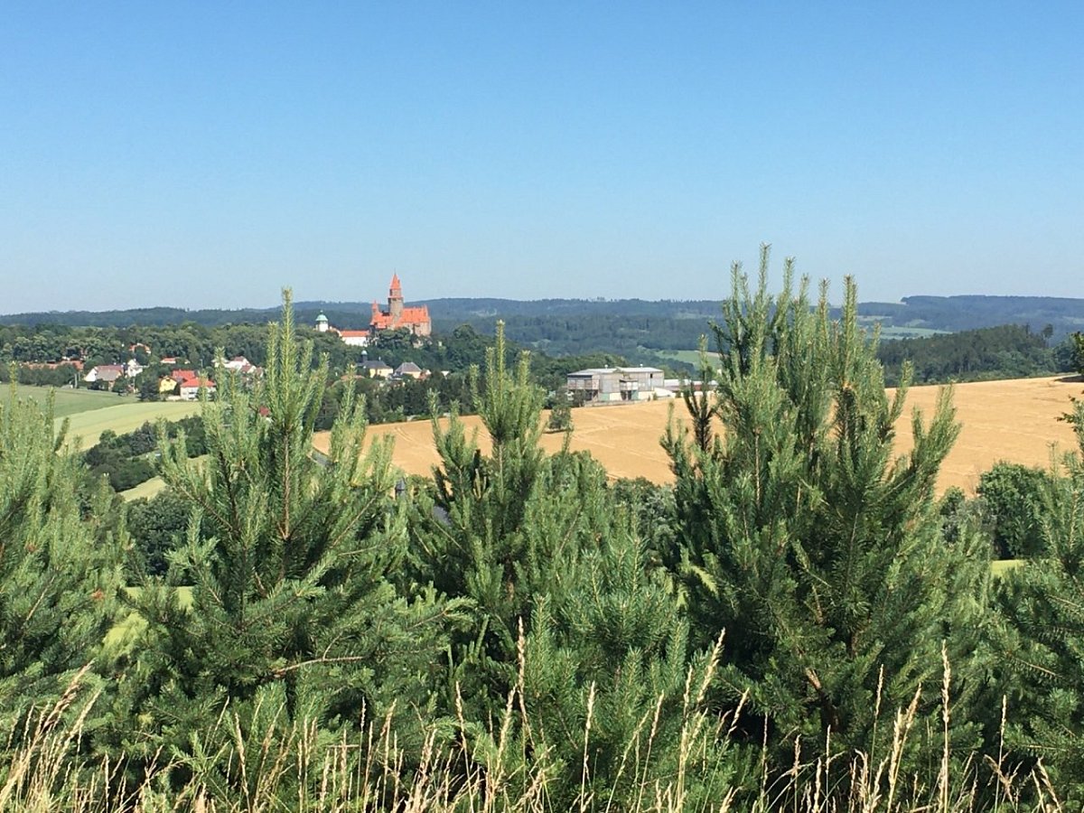 Šibeniční vrch (429 m)