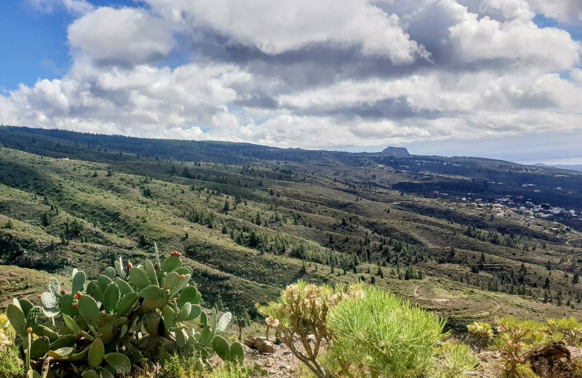 Montaña de Tejina (1047 m)