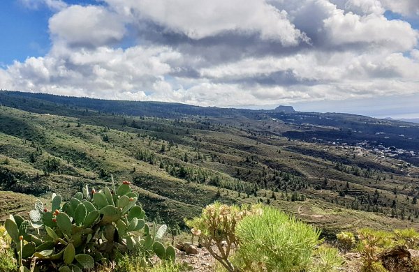 Montaña de Tejina