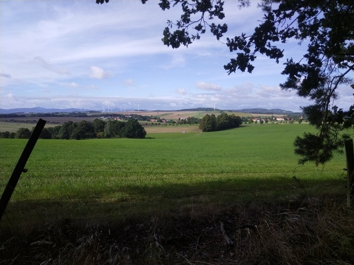 Leisehübel (342 m)