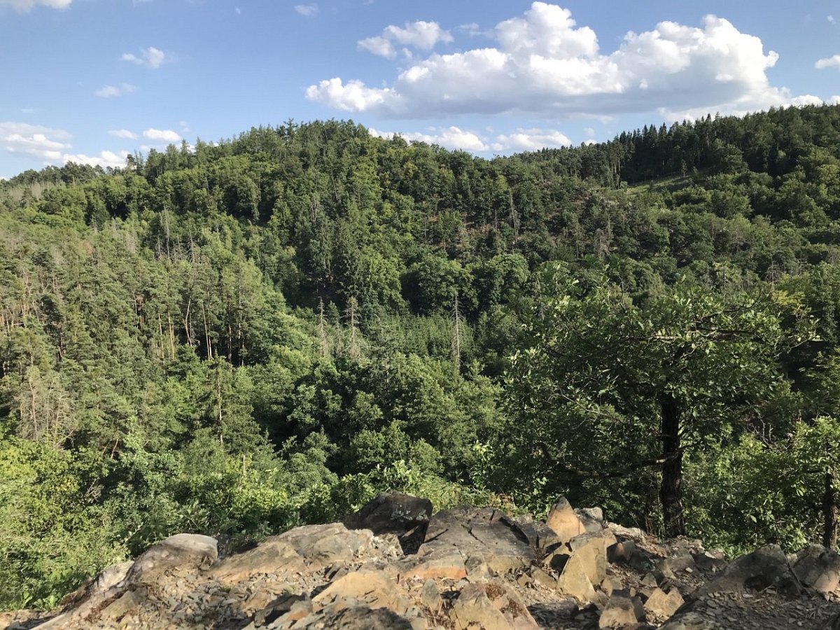 Na Hrádku (293 m)
