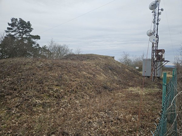 Kodrásek