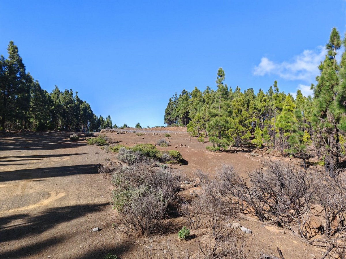 Montaña de Joco (1956 m)