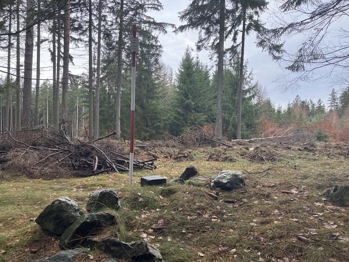Holubník (562 m)