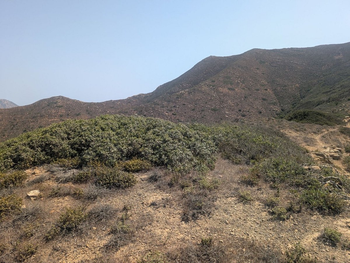 Τρουλλος (609&nbsp;m)